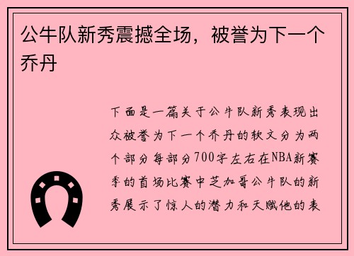 公牛队新秀震撼全场，被誉为下一个乔丹