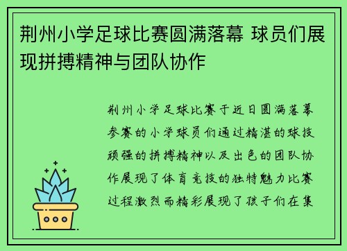 荆州小学足球比赛圆满落幕 球员们展现拼搏精神与团队协作