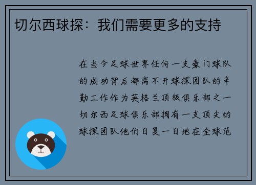 切尔西球探：我们需要更多的支持