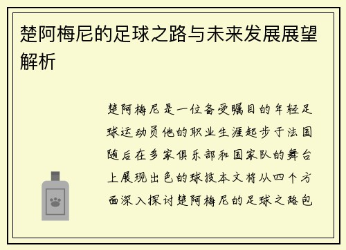 楚阿梅尼的足球之路与未来发展展望解析