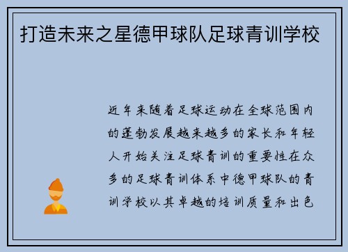 打造未来之星德甲球队足球青训学校