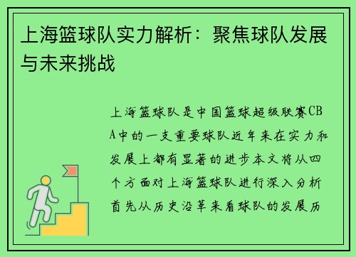 上海篮球队实力解析：聚焦球队发展与未来挑战