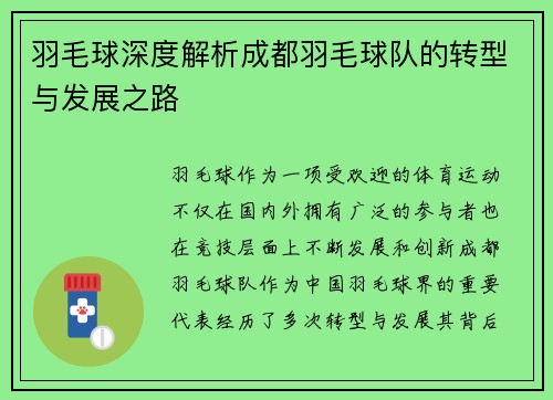 羽毛球深度解析成都羽毛球队的转型与发展之路